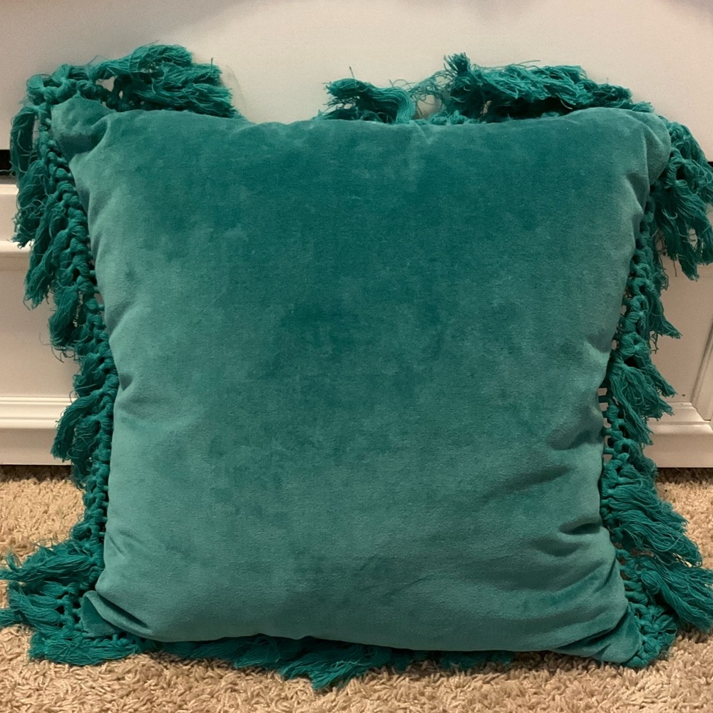 Opalhouse throw pillow